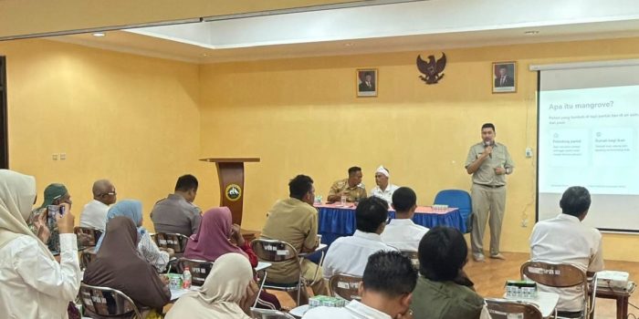 Penanaman bibit mangrove di Kepulauan Seribu